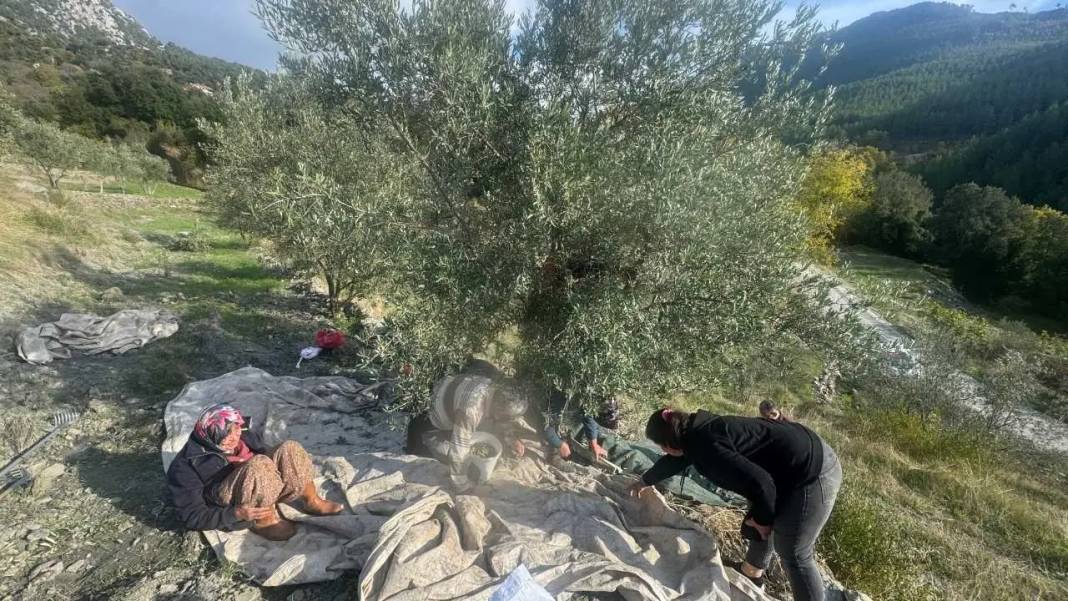 Akseki’de 88’lik Emine Teyze Gençlere Taş Çıkartıyor! 1